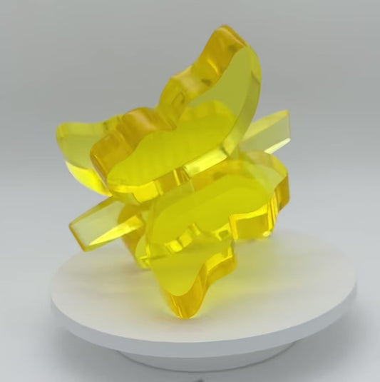 Yellow x Yellow Butterfly
